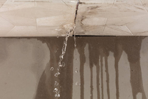 Professional Water Extraction technician working in Carriere, MS